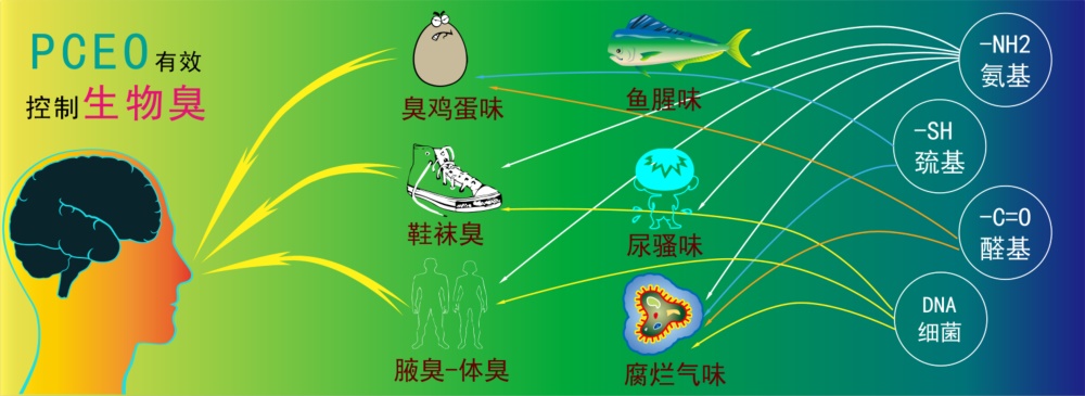 圖片2.jpg