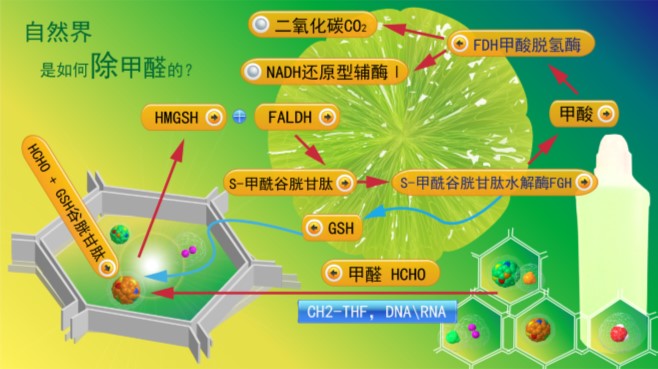 圖片1.jpg